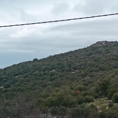 شاليه غصن in Аджлун