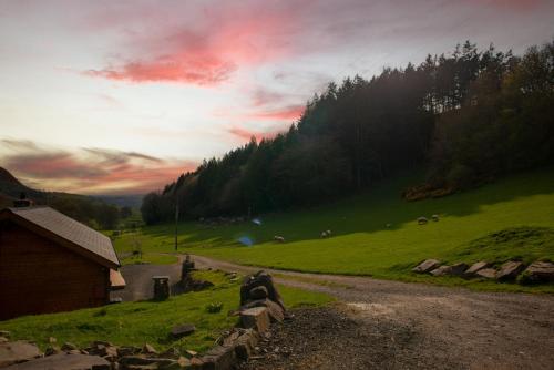 Skats, Cherry Cabin - Little Log Cabin in Wales in Bettws Cedewain