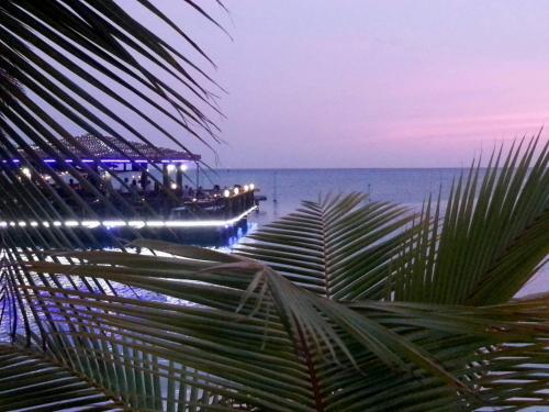 Restaurant, Aruba Surfside Marina in Oranjestad