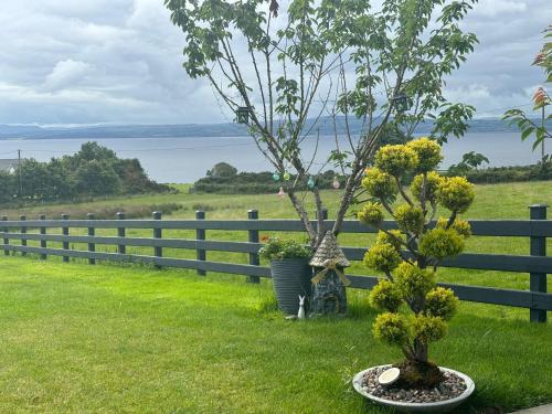 Seaview Glamping Cabin Inishowen in Inishowen