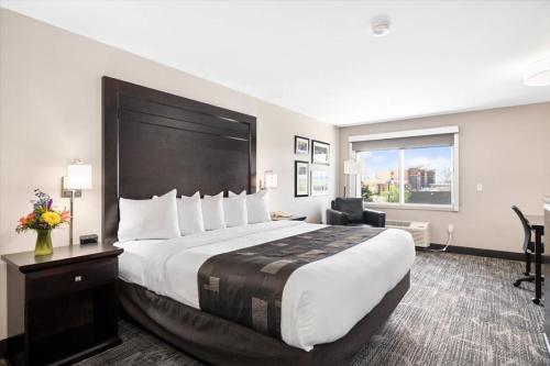 Kelly Inn Billings - image 6