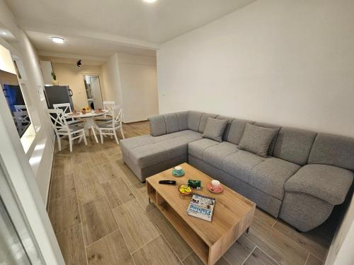 Apartment Under the Palm Tree