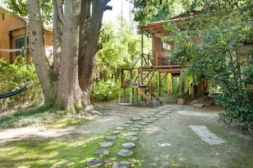 razgled, Cabana Los Alcanfores in Delta del Tigre