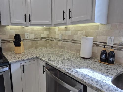 Stylish Newly Remodeled Home with Putting Green in Lewisville (TX)