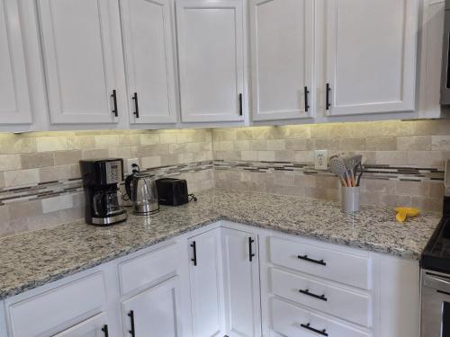 Stylish Newly Remodeled Home with Putting Green in Lewisville (TX)