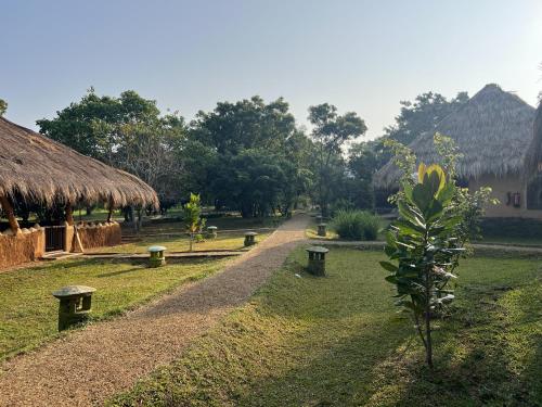 Saffron Lake Yala, Tissamaharama