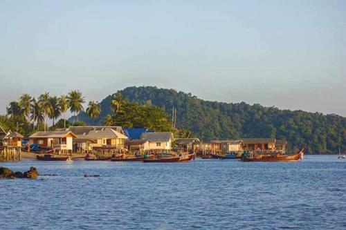 Jungle Hill Beach Bungalow