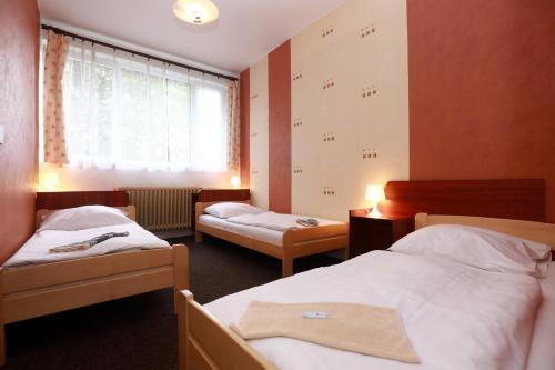 Hotel Zimní stadion Náchod - image 7