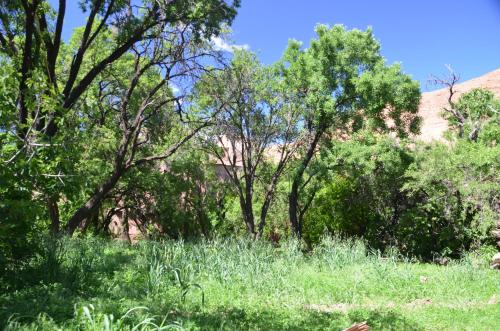 Gite Kasbah La Palmeraie Gite Kasbah La Palmeraie