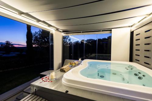 Double Room with Spa Access image 8