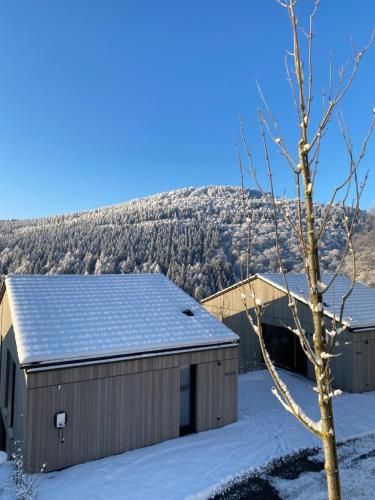 Sauerland Lodge - Haus Maxim in Winterberg, Deutschland