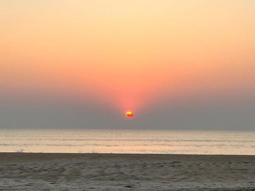 Arabian Breeze - Hubbangeri