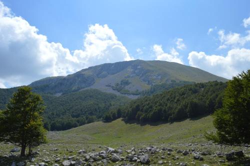  Casa Vacanze Cuore del Pollino in Viggianello