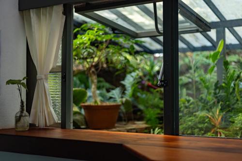 Malhar - Your Home Beneath The Clouds in موثانجا