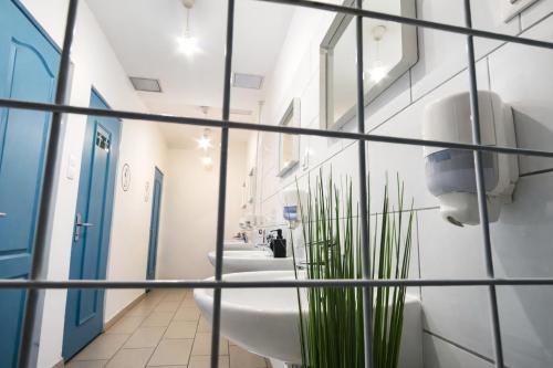 WOW City Hostel, Budapešť (fotografie 8)