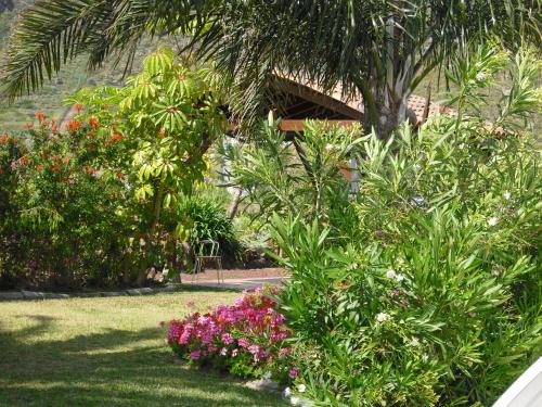 Finca El Picacho Apartments in the countryside 2 Km from the beach - image 7