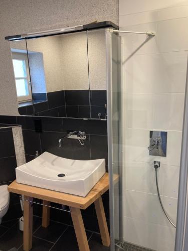 Lichtdurchflutete 65m2 Einliegerwohnung mit großer Sudterrasse und Komfort-Bad in Gutenzell-Hurbel
