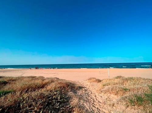 Sanchis Guarner Bajo Solo Familias Serviplaya in Xeraco