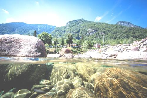Ai piee - image 7