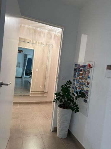 Appartement Esterel in Saint-Raphael