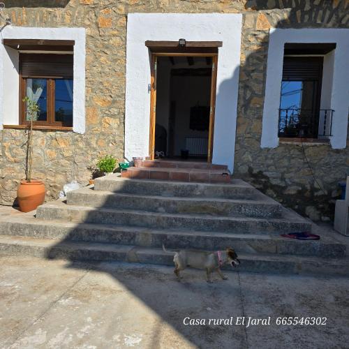 Casa Rural El Jaral in Orihuela Del Tremedal