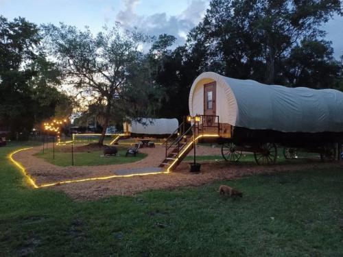 Luxury Covered Wagon, Rooterville Animal Sanctuary in Keystone Heights