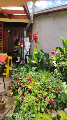 ECOHOSTAL HUELLAS DEL BOSQUE in 拉斯阿尼馬斯