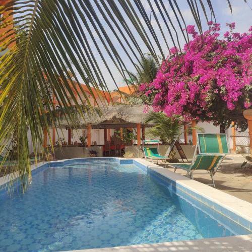. Hôtel évasion pêche djilor île sine saloum