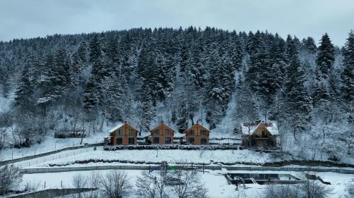 Viesnīcas āriene, Eko cottages in Kimotesubani