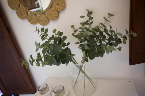 Blanquerias Apartments - image 2