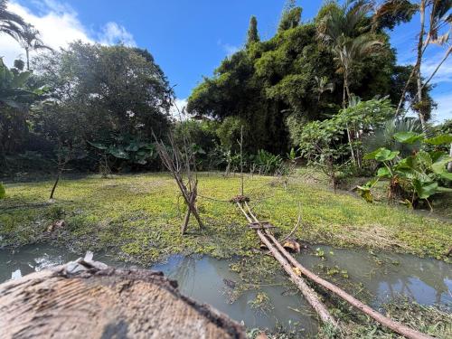 ecopolis hospedaje birding in El Queremal