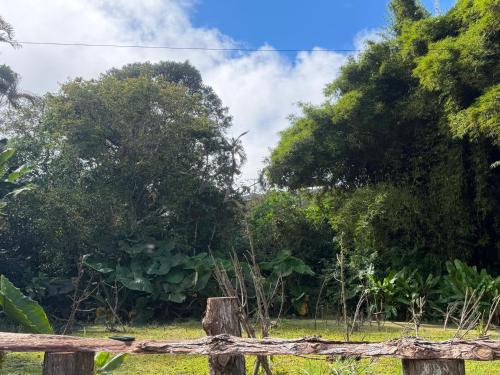 ecopolis hospedaje birding in El Queremal