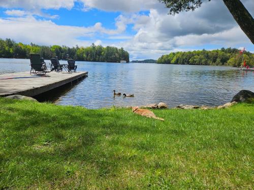 Olga's Bay Lakehouse in 溫德米爾(ON)