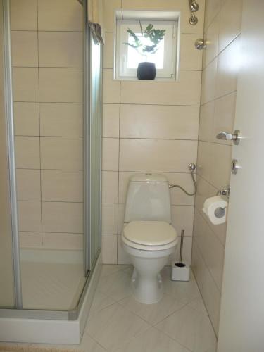 Rooms & Apartments Milka, Umag (photo 8)
