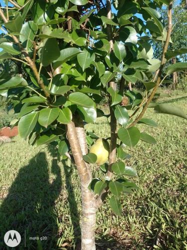 Las golondrinas casa de campo in 도스 데 마요