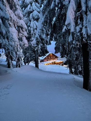 Horsky hotel Stumpovka in Rokytnice nad Jizerou