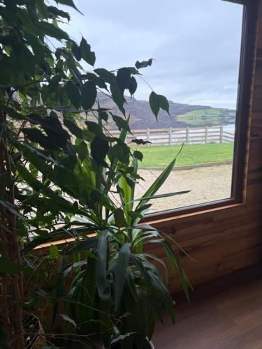 Sessaigh lake studio in Dunfanaghy