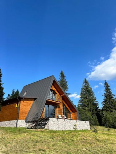 Carpathic Chalet