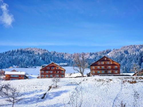 Apartment Liebevoll sanierte Wohnung in einem alten Bregenzerwälderhaus by Interhome (Apartment Liebevoll sanierte Wohnung in einem alten Bregenzerwalderhaus by Interhome) in Schwarzenberg