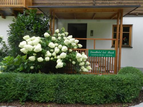 Apartment Tolles Appartement in Marktgemeinde Übelbach mit Garten by Interhome (Apartment Tolles Appartement in Marktgemeinde Ubelbach mit Garten by Interhome) in Übelbach