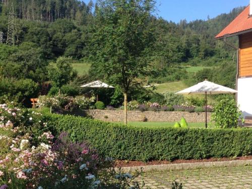 Apartment Tolles Appartement in Marktgemeinde Übelbach mit Garten by Interhome (Apartment Tolles Appartement in Marktgemeinde Ubelbach mit Garten by Interhome) in Übelbach