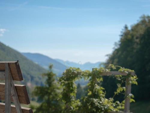 Apartment Berghof Montpelon by Interhome in Gänsbrunnen, Schweiz