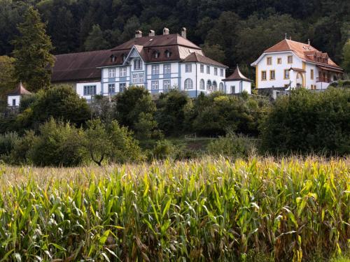 Apartment studio Montgolfières by Interhome in Granges-près-Marnand, Schweiz