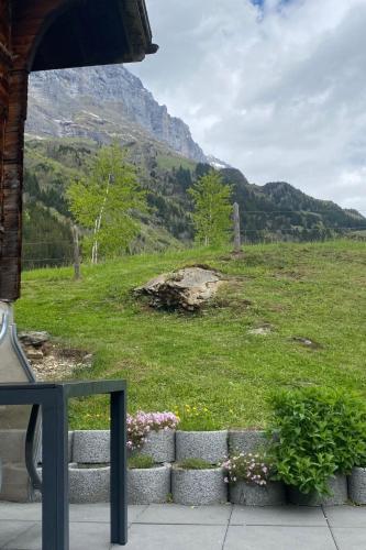 Apartment Alpenruh by Interhome in Gadmena