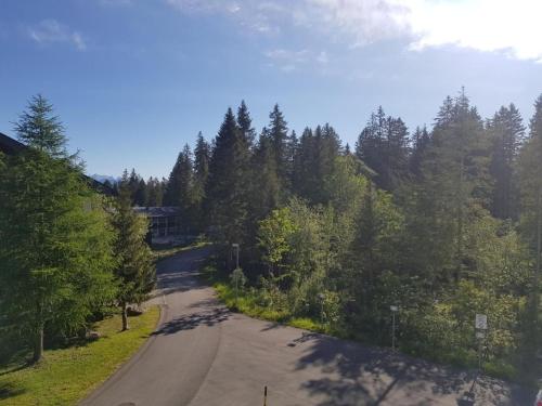 Apartment Steinadler by Interhome in Гісвіль