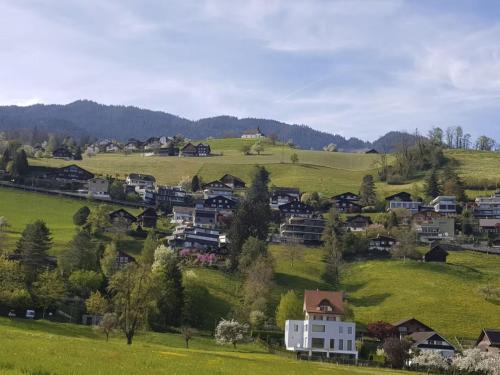 Apartment Charmantes Chalet Apartment mit Aussicht by Interhome in سارنين