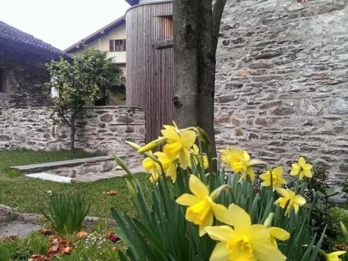 Apartment Corte delle Camelie - Wohnung im Erdgeschoss by Interhome in Vira