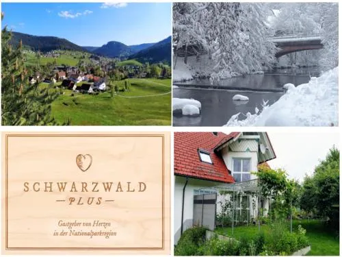 Ferienwohnung, Sauna & Gästekarte gratis im Schwarzwald in Baiersbronn, Deutschland