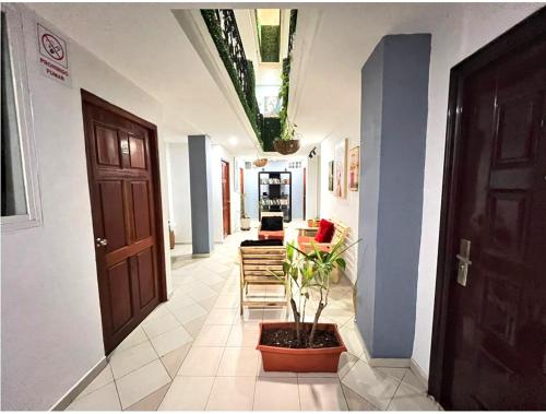 Hostal Cigarra in Panama City