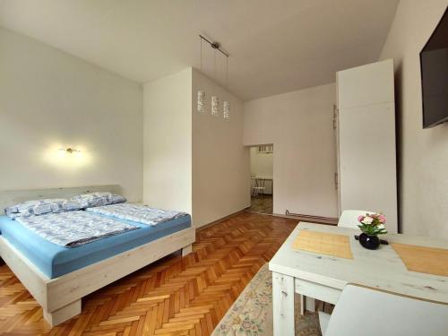 Cozy apartman in the center
